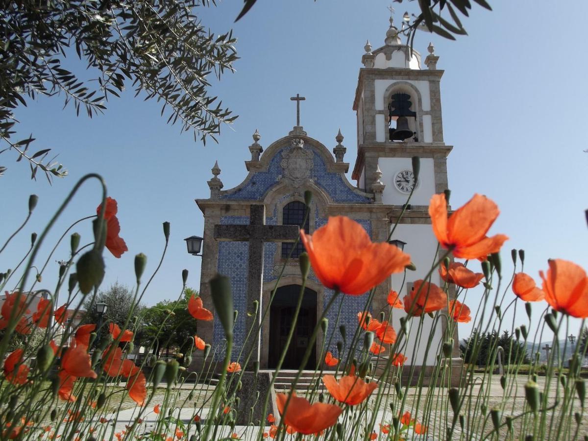 Douro - A Casinha Da Ana Lägenhet Vila Real Exteriör bild